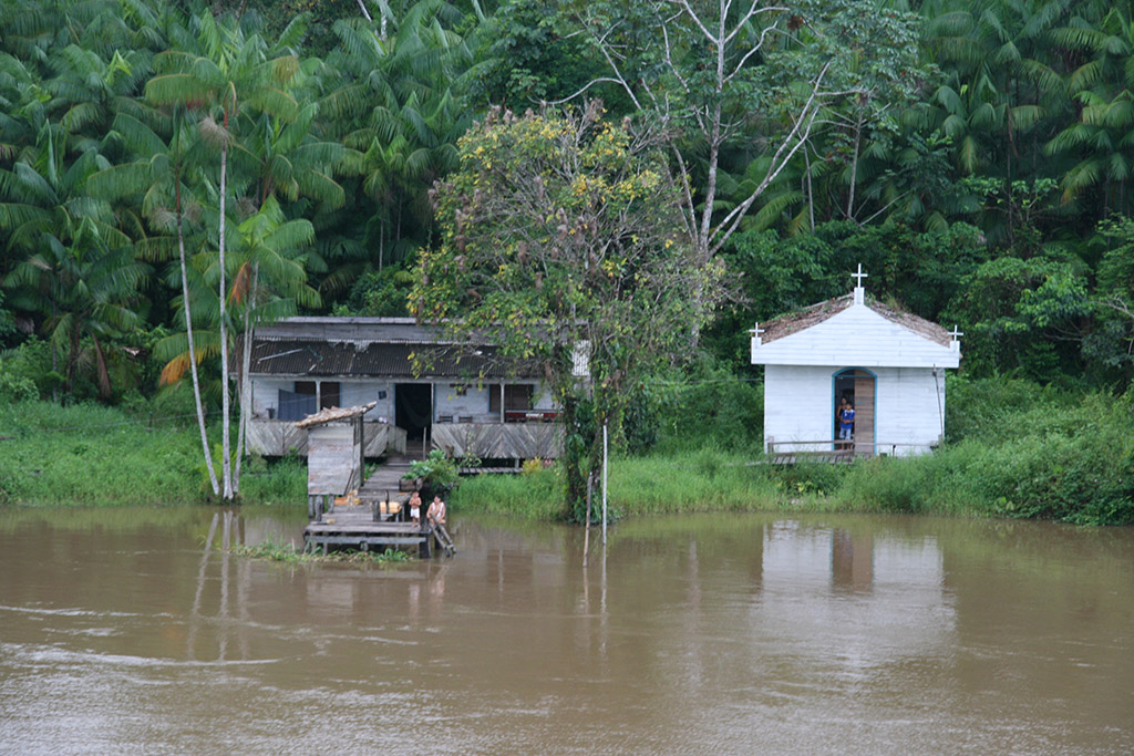 amazonas-ucayali-peru-selva